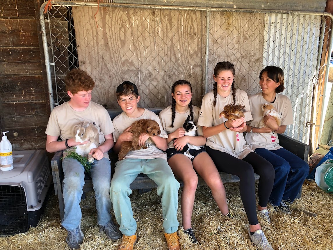 Group holding animals June 2023