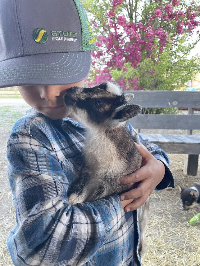 Nic and baby goat kissing him 2024 (1)