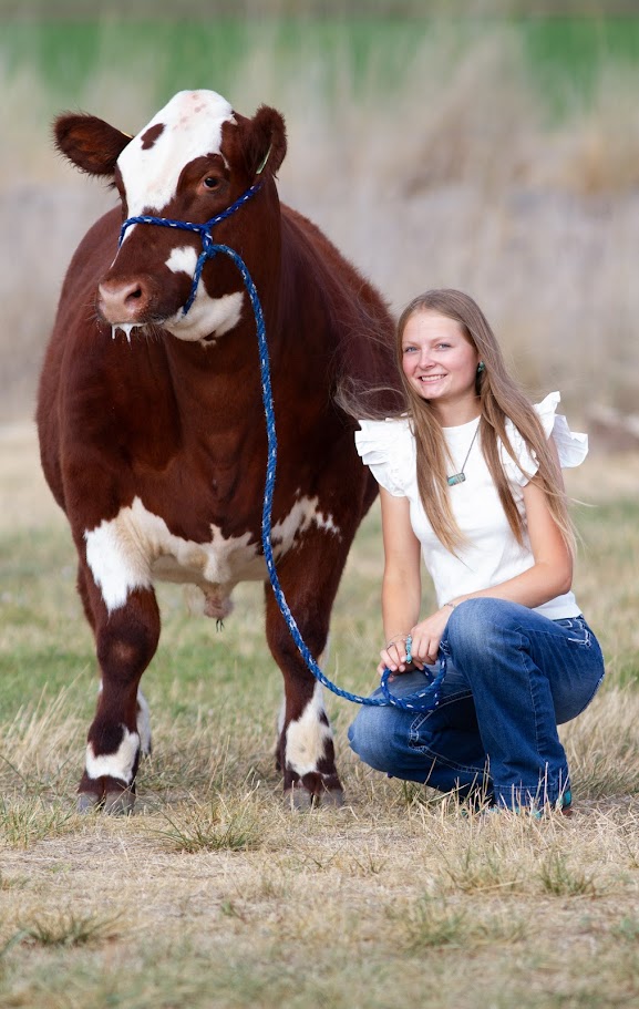 Our daugher Addie and one of her beautiful steers